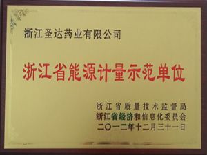 Zhejiang demonstration unit of energy metering