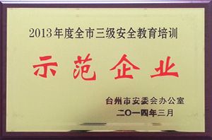 2013年度全市三级安全教育培训示范企业