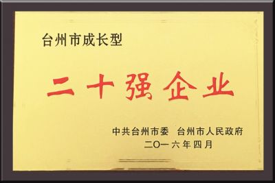 台州市成长型二十强企业